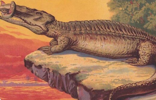کشف تمساح غول‌پیکر باستانی در برزیل