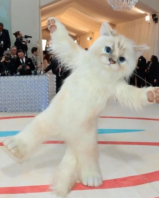 بازیگر مشهور با استایل گربه در ملاعام ظاهر شد