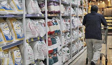 خبر جدید درباره ممنوعیت واردات برنج 