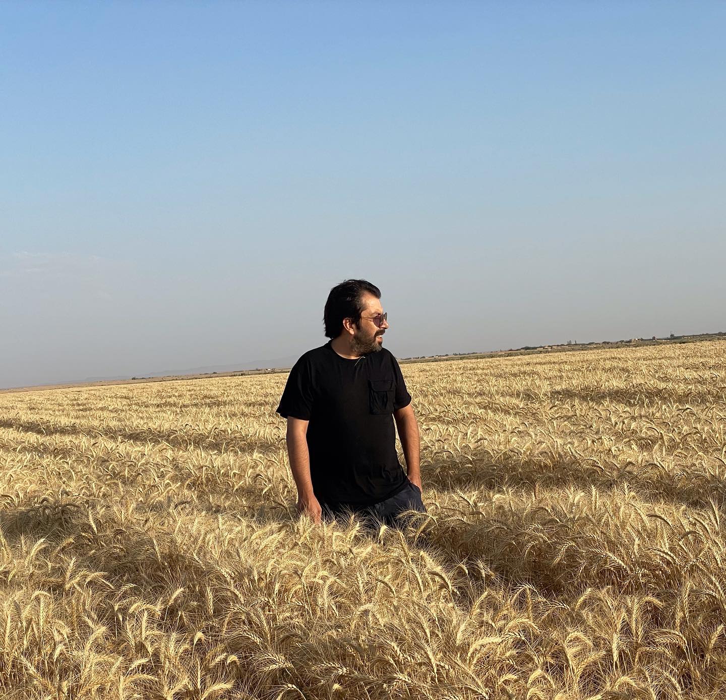 عکس هنری بازیگر معروف ایرانی در گندم‌زار