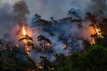 آتش‌سوزی در جزیره محبوب پولدارها