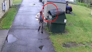عکسی از خرس در سطل زباله و فرار مدیر مدرسه