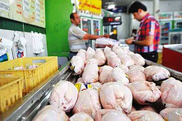 قیمت مرغ؛ ۳۰هزار تومان گران‌تر از نرخ مصوب