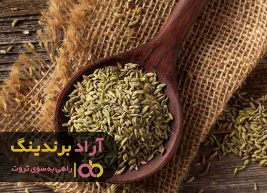 مسیر زندگیم با ادویه‌ها عوض شد 