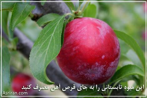 این میوه تابستانی را به جای قرص آهن مصرف کنید