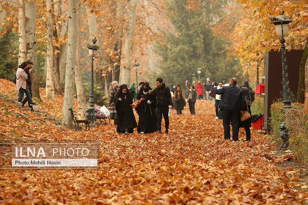 تصاویری متفاوت از پائیز زیبای کاخ سعدآباد