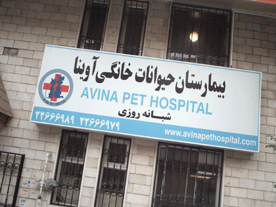 بهترین دامپزشکی تهران: ۱۰ بیمارستان و کلینیک دامپزشکی
