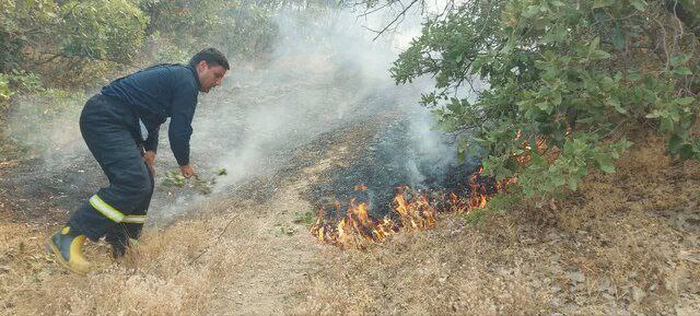 وقوع آتش‌سوزی هولناک در پارک ملی ساریگل