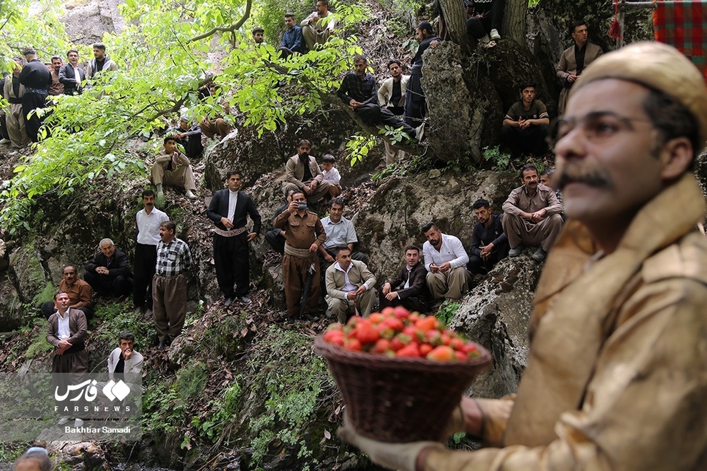 جشنواره توت فرنگی شیان