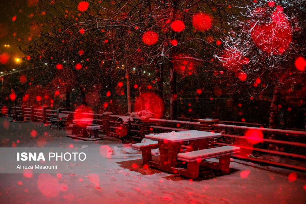 تصاویری متفاوت از شب‌های روشن تهران