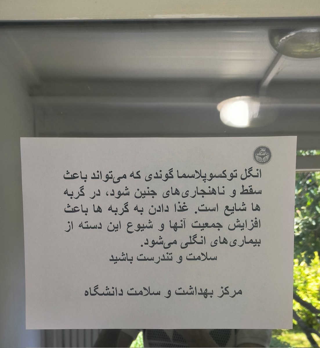 اطلاعیه عجیب دانشگاه تهران، صدای گربه‌ها را هم درآورد!