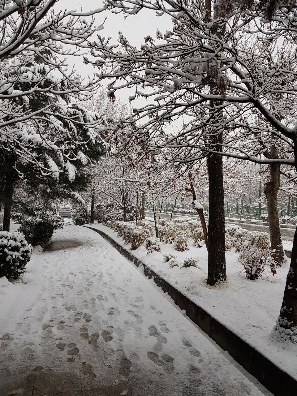 تصاویری از زیبایی سفیدی برف بر تن تهران