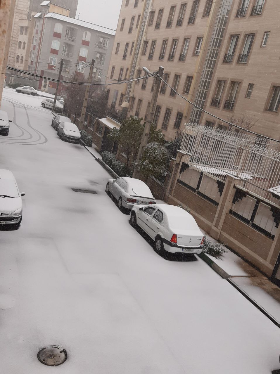 تصاویری ناب از اولین برف زمستانی تهران