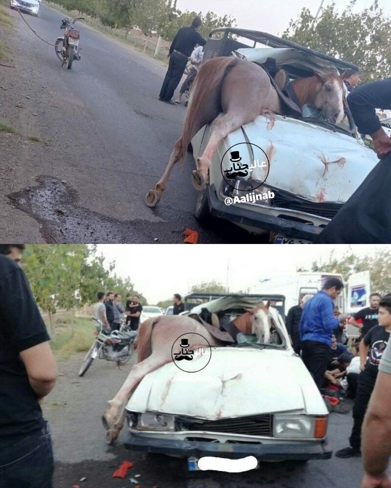 تصویری از تصادف هولناک اسب با پیکان