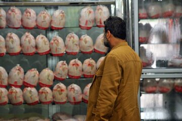 قیمت مرغ در میادین میوه و تره‌بار تهران