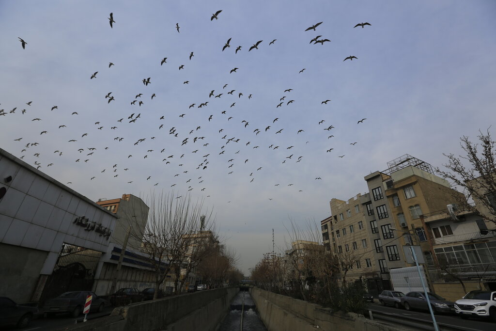 تصاویری از گشت و گذار مسافران سیبری در تهران 