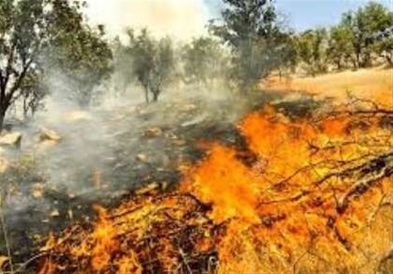 وقوع آتش‌سوزی هولناک در اراضی لرستان