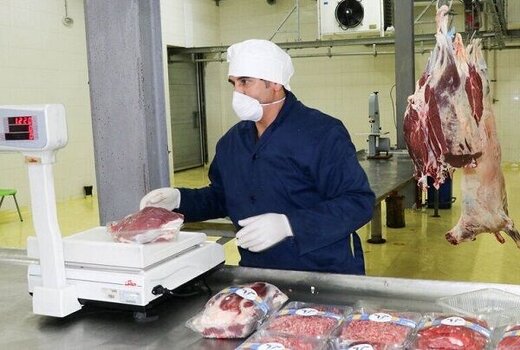 دولت برنامه‌ای برای کاهش قیمت گوشت دارد؟