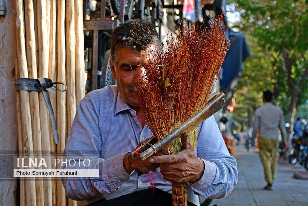 تصاویری از یک شغل فراموش شده تهران 