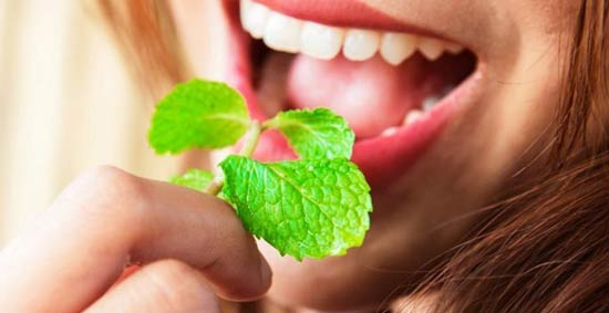 آشنایی با گیاهان دهانی و دهانشویه های طبیعی
