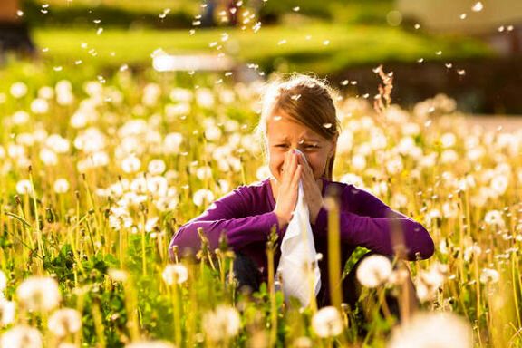 راهکاری برای کاهش عطسه و خارش گلو در فصل بهار