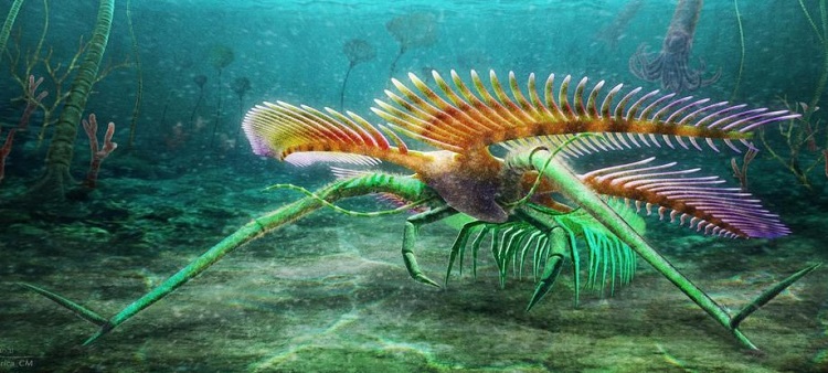 کشف جانور دریاییِ عجیب ۴۵۰میلیون ساله!