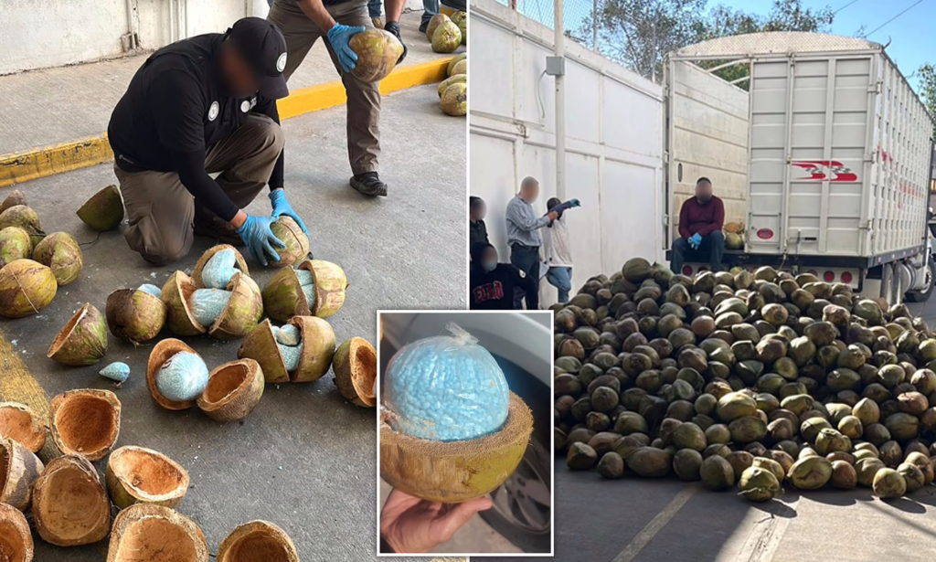 کشف محموله ۳۰۰کیلویی فنتانیل در داخل آناناس
