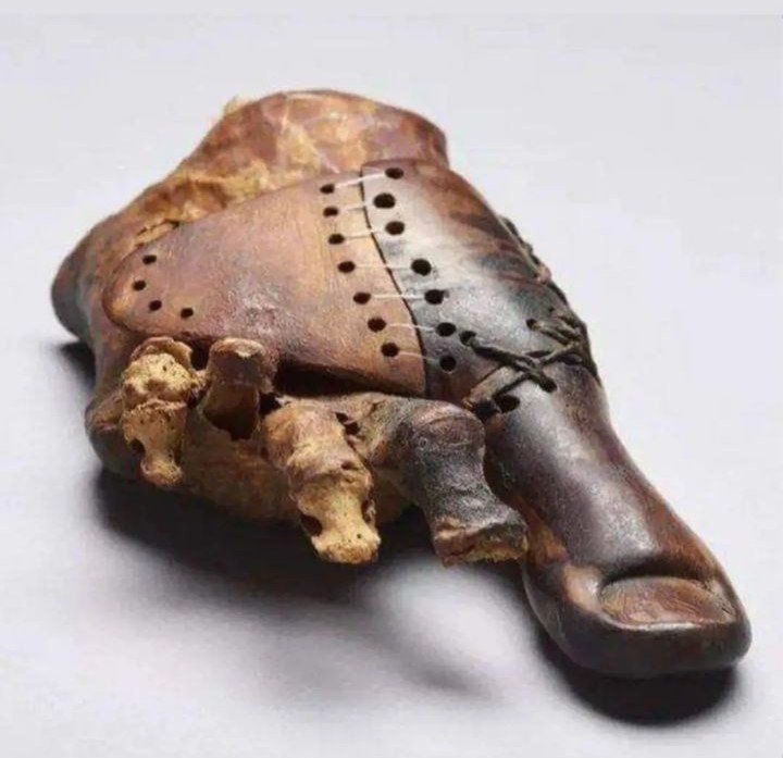 کشف قدیمی‌ترین پای مصنوعی با قدمت ۳۰۰۰ سال!