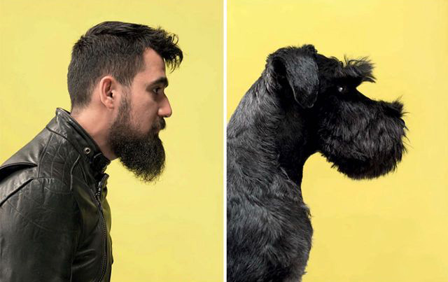 این عکس ها ثابت می کند که شما دقیقاً شبیه حیوان خانگی خود خواهید بود