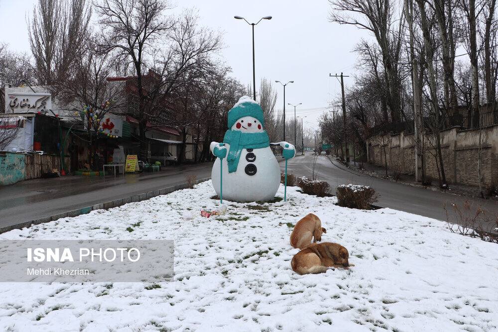برف سنگینِ نوروزی بر تن پایتختِ تمدن ایران