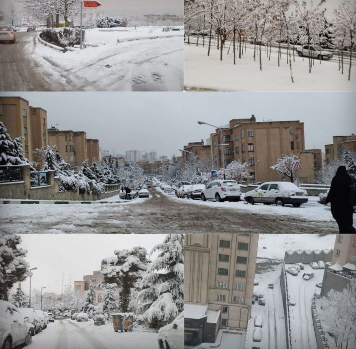 تصاویری از زیبایی سفیدی برف بر تن تهران