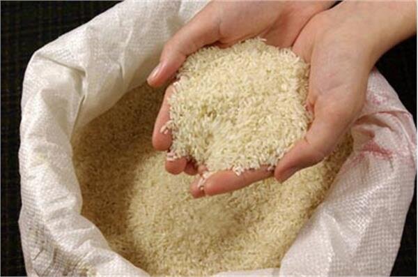 آمار تکان‌دهنده از ناتوانی ایرانی در خرید برنج