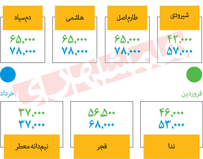 ارزان‌ترین برنج بازار چند؟