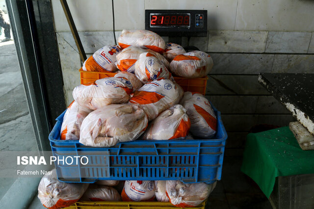 قیمت مرغ منجمد برای هدایت بازار افزایش یافت!