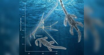 فسیل هیولای دریایی ۲۵۰میلیون ساله در چین پیدا شد