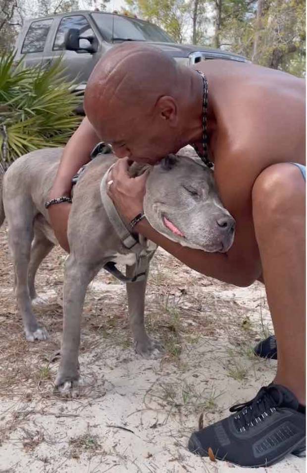 لحظه پُراحساس دیدار سگی با صاحبش پس از ۱۰ سال جدایی