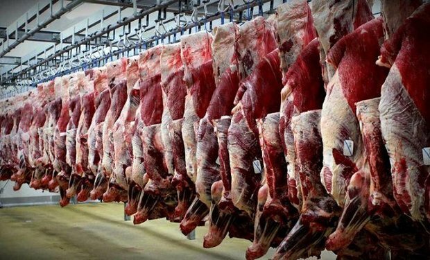 زمان عرضه گوشت گرم وارداتی در میادین