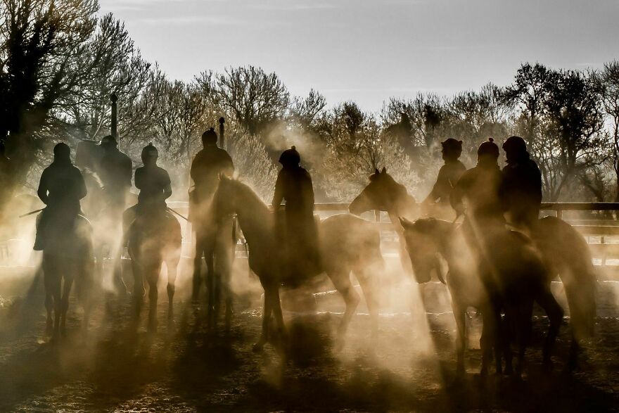 2023-World-Sports-Photography-awards-winners-announced-64d4a85bac316-jpeg__880