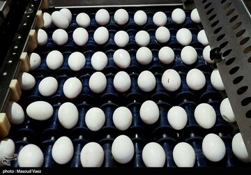 صف خرید تخم مرغ در میادین میوه و تره بار!