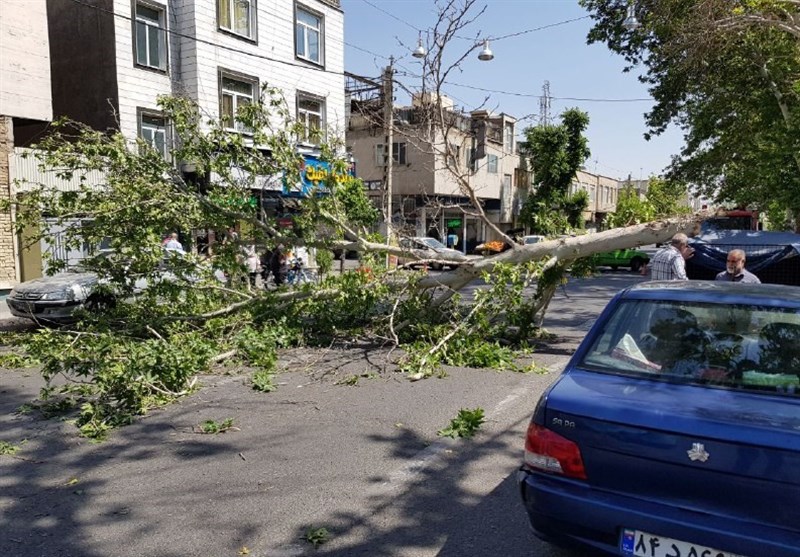 وزش شدید باد در شیراز یک کشته برجای گذاشت