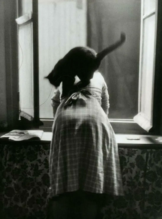 این عکس‌های قدیمی ثابت می‌کنند که گربه‌ها همیشه محبوب بوده‌اند