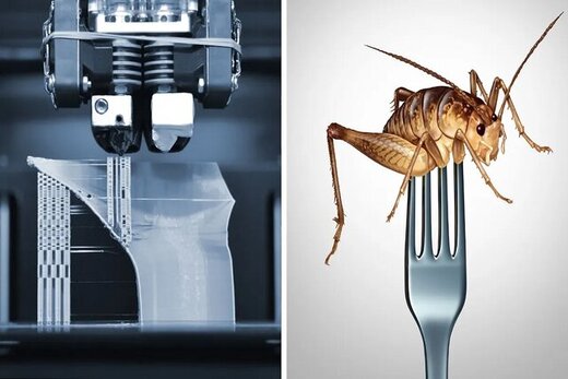 چاپ سه بعدی حشرات برای نجات از بحران غذایی!