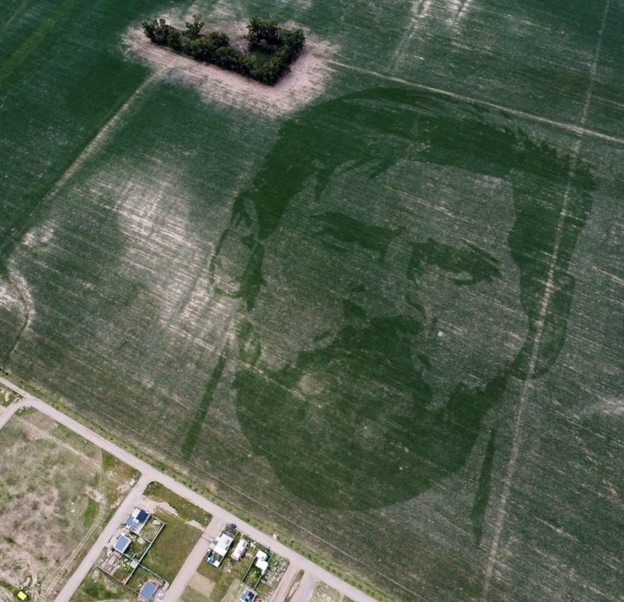 تصویری از چهره مسی روی زمین کشاورزی!