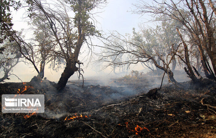 آخرین خبر از آتش‌سوزی جنگل‌های مریوان