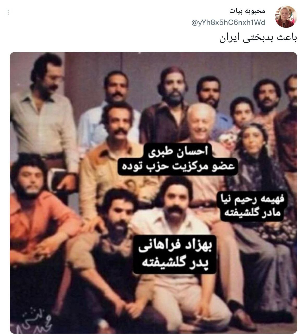 طعنه بازیگر سابق سینما به گلشیفته فراهانی