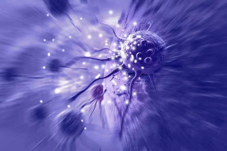 کشف تکنیکی برای حمله به سلول‌های سرطانی