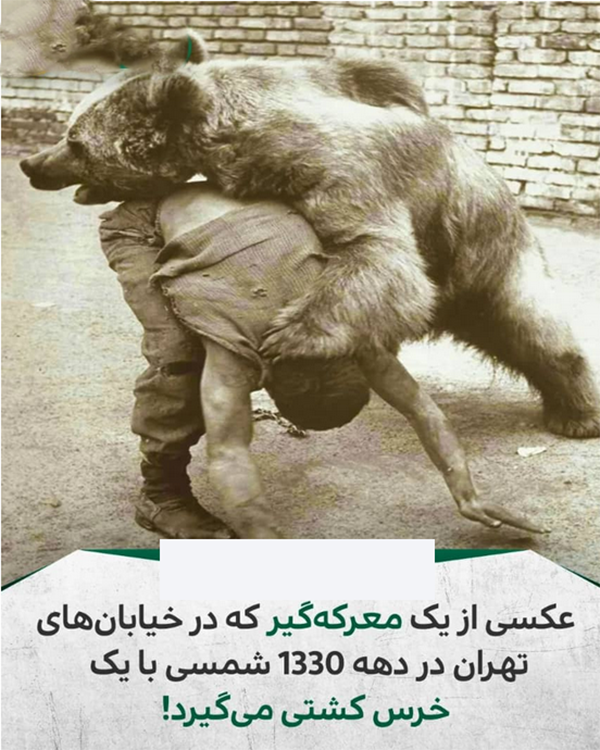 خرس وحشی وسط خیابان های تهران!