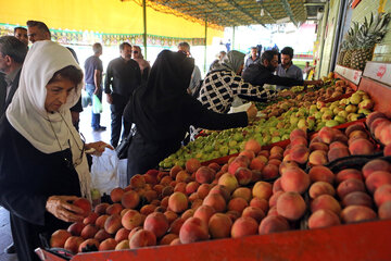 افت قابل توجه قیمت میوه در بازار 