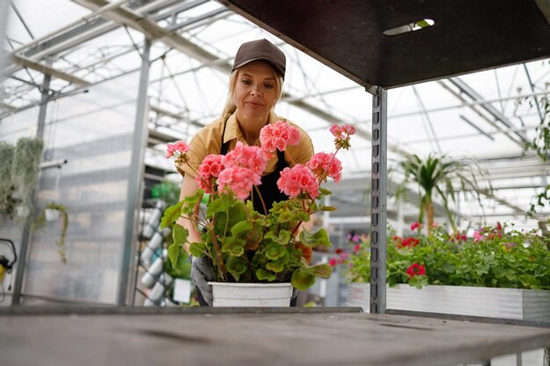 مهم ترین مزایای خرید مستقیم گل از گلخانه چیست؟