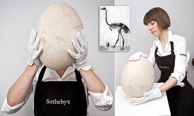 عکسی از گران‌ترین تخم‌مرغ جهان